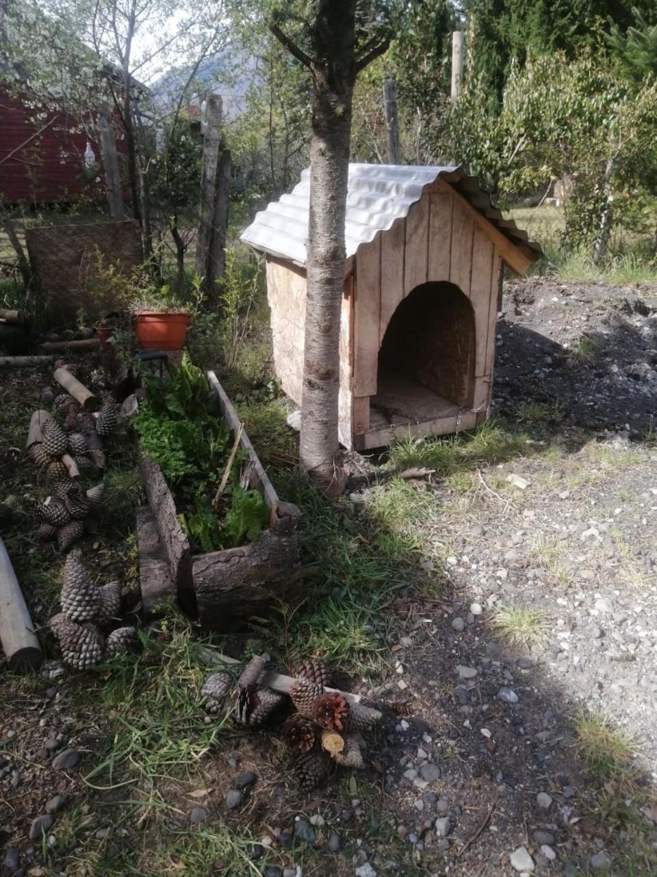 Cabana May Pao, Para 3 En Melipeuco Cerca Del Parque Nacional Conguillio Exterior photo